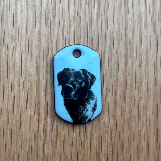 portrait - Black lab on copper dog tag on pastel blue background Ona Chan jewelry